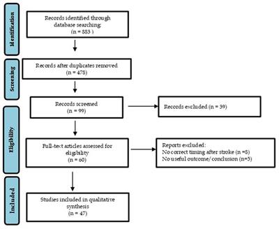 A rehabilitative approach beyond the acute stroke event: a scoping review about functional recovery perspectives in the chronic hemiplegic patient